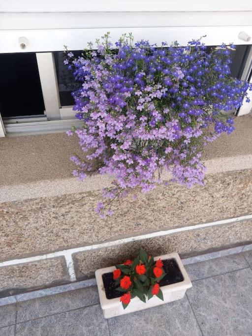 Precioso Apartamento En San Vicente De O Grove San Vicente do Grove Eksteriør billede